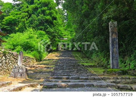 【福井県】平泉寺白山神社の参道 105757719
