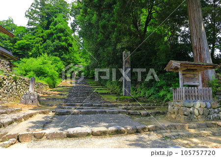 【福井県】平泉寺白山神社の参道 105757720