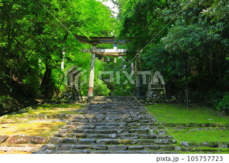 【福井県】平泉寺白山神社の参道 105757723
