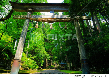 【福井県】平泉寺白山神社の参道 105757724