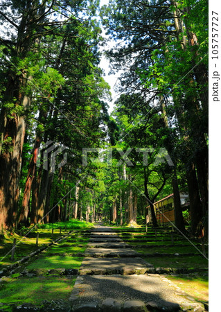 【福井県】平泉寺白山神社の参道 105757727