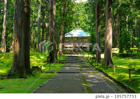 【福井県】平泉寺白山神社の拝殿 105757733