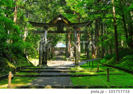 【福井県】平泉寺白山神社の二の鳥居と拝殿 105757738