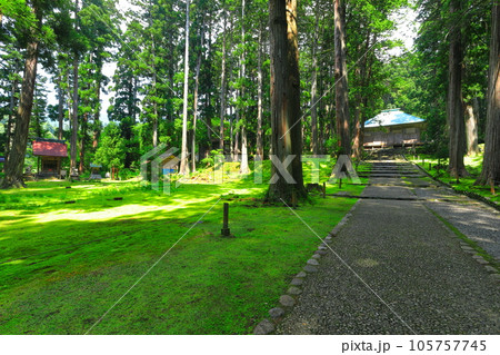 【福井県】平泉寺白山神社の拝殿 【福井県】平泉寺白山神社の拝殿 105757745
