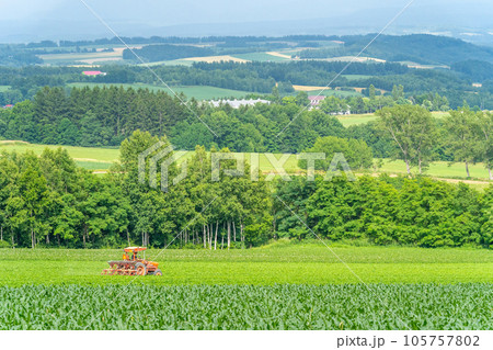 富良野　田園風景　丘陵　農作業 105757802