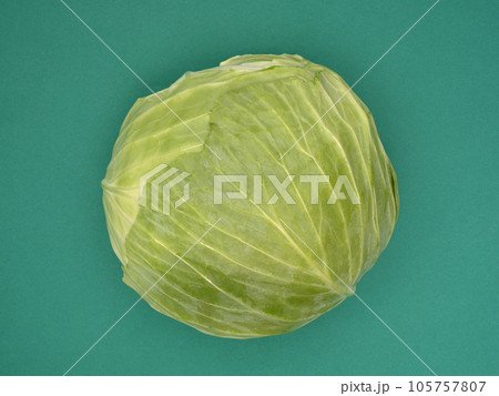 夏キャベツ 105757807