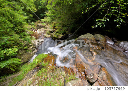 大日滝の流れ落ち部から見た景色（総称：布引滝）三重県津市 105757969