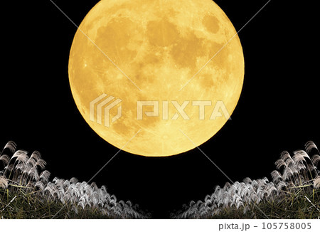 満月とススキ。秋の夜。お月見。 満月とススキ。秋の夜。お月見。 105758005