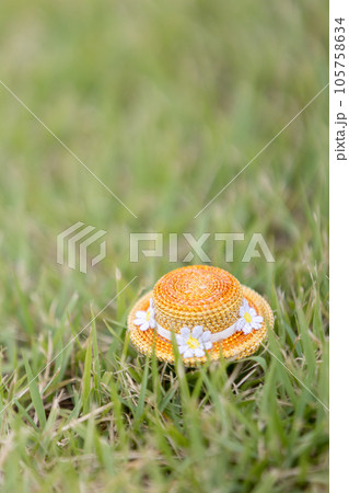 芝生と小さな夏帽子 105758634
