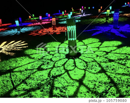 阿久比白沢ホタルの里 竹灯籠 阿久比白沢ホタルの里 竹灯籠 105759080