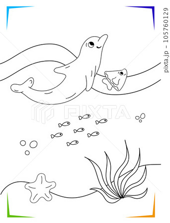 Black and white dolphin, starfish, seaweed Coloring page. Underwater inhabitants vector illustration. Black and white dolphin, starfish, seaweed Coloring page. Underwater inhabitants vector illustration. 105760129