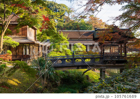 横浜本牧の秋　紅葉の三溪園　臨春閣 105761689