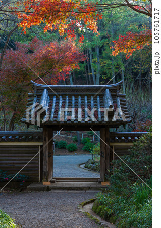 横浜本牧の秋　紅葉の三溪園　海岸門 105761717