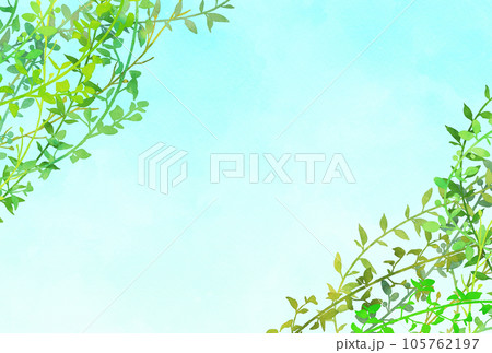 背景素材_水彩_植物 105762197