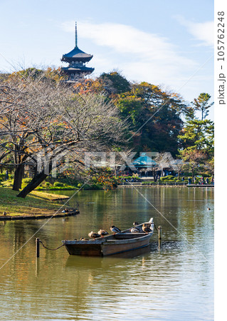横浜本牧の秋 紅葉の三溪園 横浜本牧の秋 紅葉の三溪園 105762248