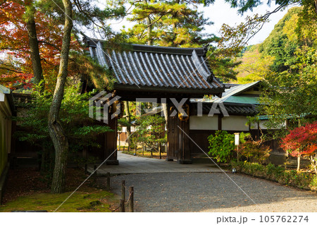 横浜本牧の秋　紅葉の三溪園　御門 105762274