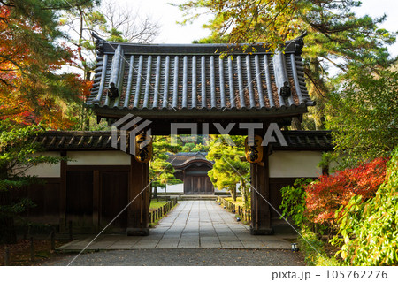 横浜本牧の秋　紅葉の三溪園　御門 105762276
