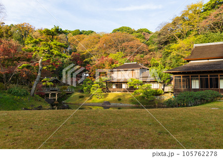 横浜本牧の秋　紅葉の三溪園 105762278