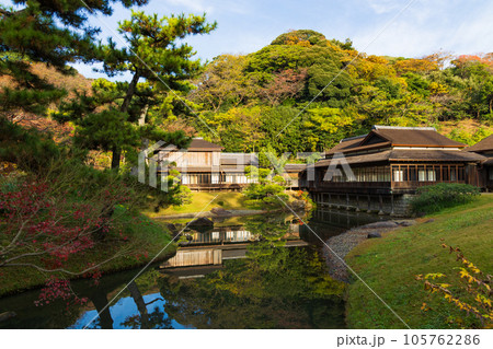 横浜本牧の秋　紅葉の三溪園　臨春閣 105762286