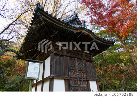 横浜本牧の秋 紅葉の三溪園 旧天瑞寺寿塔覆堂 横浜本牧の秋 紅葉の三溪園 旧天瑞寺寿塔覆堂 105762289