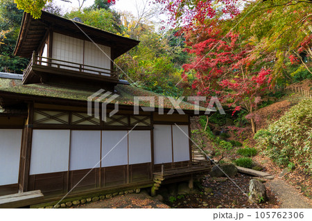 横浜本牧の秋 紅葉の三溪園 聴秋閣 横浜本牧の秋 紅葉の三溪園 聴秋閣 105762306