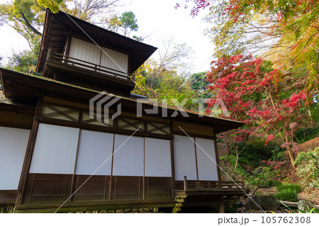 横浜本牧の秋 紅葉の三溪園 聴秋閣 横浜本牧の秋 紅葉の三溪園 聴秋閣 105762308