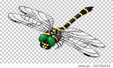 Illustration of Onyanma _ Diagonal upper _ Feather transmission Illustration of Onyanma _ Diagonal upper _ Feather transmission 105762638