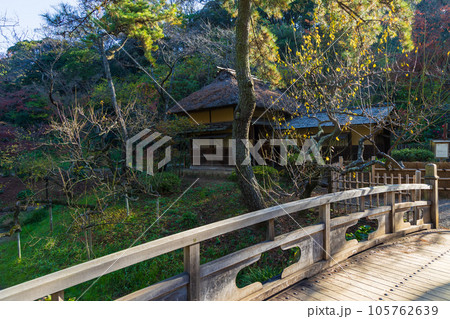 横浜本牧の秋 紅葉の三溪園 横浜本牧の秋 紅葉の三溪園 105762639