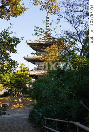 横浜本牧の秋　紅葉の三溪園　三重塔 105762653