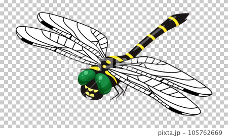 Onyanma's illustration_Diagonal top_Hajiro 105762669