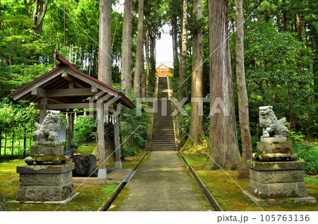 新潟県上越市春日のパワースポット　春日神社 105763136