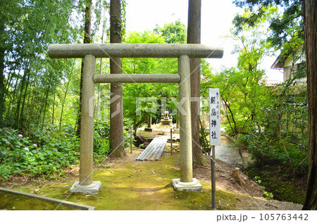 新潟県上越市春日のパワースポット 春日神社の摂社厳島神社 新潟県上越市春日のパワースポット 春日神社の摂社厳島神社 105763442