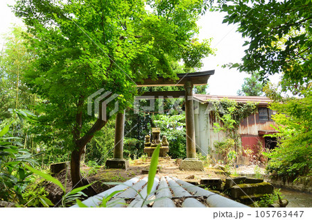 新潟県上越市春日のパワースポット 春日神社の摂社厳島神社 新潟県上越市春日のパワースポット 春日神社の摂社厳島神社 105763447
