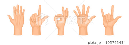 Human Hand Showing Gestures and Signs Vector Set Human Hand Showing Gestures and Signs Vector Set 105763454