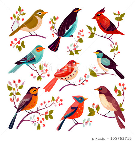set vector illustration of bird isolation on white background 105763719