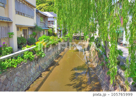 伊豆半島・南伊豆・下田ペリーロード・レトロな街並みと枝垂柳が印象的な風景・静岡県下田市(6) 105765999