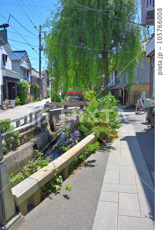 伊豆半島・南伊豆・下田ペリーロード・レトロな街並みと枝垂柳が印象的な風景・静岡県下田市(13) 伊豆半島・南伊豆・下田ペリーロード・レトロな街並みと枝垂柳が印象的な風景・静岡県下田市(13) 105766008