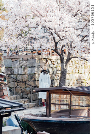 滋賀県近江八幡市 八幡堀の桜と観光客 滋賀県近江八幡市 八幡堀の桜と観光客 105766151