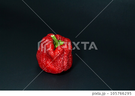 Red wrinkled old sweet bell pepper on a dark background 105766295