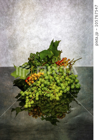 Still life with green grape branches and yellow viburnum berries 105767547