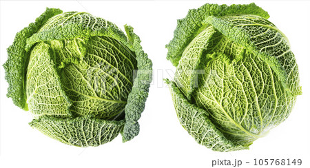 Close up Savoy cabbage isolated Close up Savoy cabbage isolated 105768149