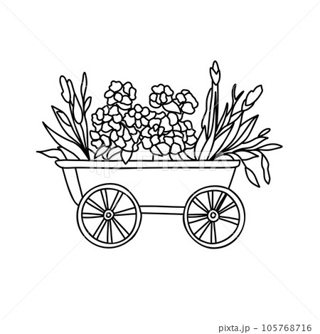 Coloring page with sunflowers, autumn coloring. 105768716