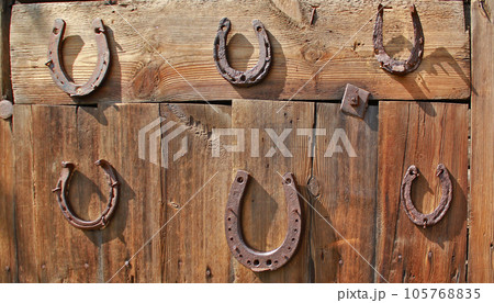 Old horseshoes on a wooden door in the village 105768835