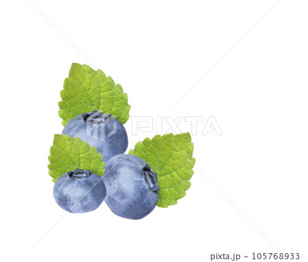 Ripe blueberries with green leaves Lemon balm, common balm or balm mint (Melissa officinalis) isolated on white background. Healthy sweet berry. Concept for healthy eating and lifestyle. Growing Ripe blueberries with green leaves Lemon balm, common balm or balm mint (Melissa officinalis) isolated on white background. Healthy sweet berry. Concept for healthy eating and lifestyle. Growing 105768933