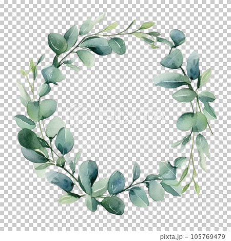 Watercolor eucalyptus leaves frame isolated 105769479