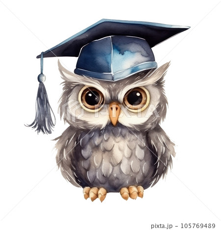 Cute watercolor owl in graduarion cap isolated 105769489