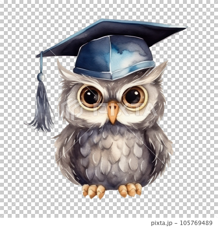 Cute watercolor owl in graduarion cap isolated 105769489