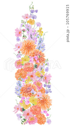 Watercolor botanical colourful frame of summer and autumn flowers: dahlia, zinnia, lathyrus, gillyflower, nasturtium. Good for wedding print products, paper, invitations, greetings, fabric, posters 105769915