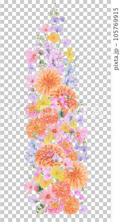 Watercolor botanical colourful frame of summer and autumn flowers: dahlia, zinnia, lathyrus, gillyflower, nasturtium. Good for wedding print products, paper, invitations, greetings, fabric, posters 105769915