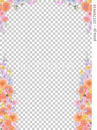 Watercolor botanical colourful frame of summer and autumn flowers: dahlia, zinnia, lathyrus, gillyflower, nasturtium. Good for wedding print products, paper, invitations, greetings, fabric, posters 105769916